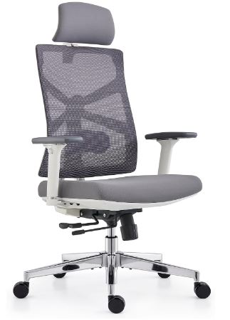 HOLLUDLE Best Ergonomic Tall Person Office Chair With Back Pain-